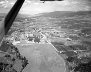 thumbnail of image