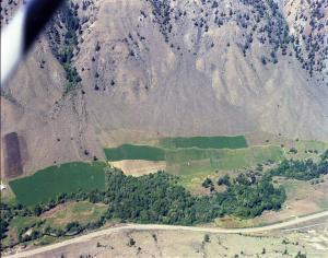 thumbnail of image