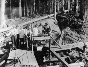thumbnail of image
