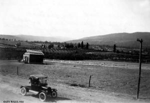 thumbnail of image