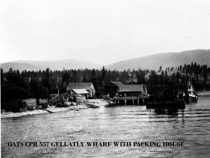 thumbnail of image