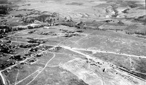 thumbnail of image