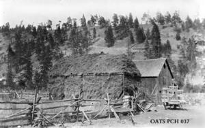 thumbnail of image