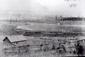 thumbnail of image