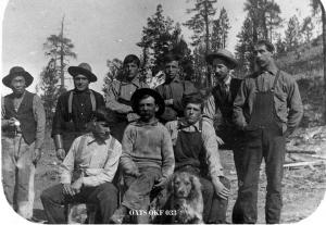thumbnail of image