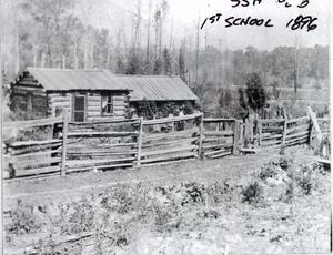 thumbnail of image
