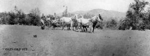 thumbnail of image