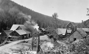 thumbnail of image