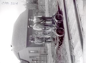 thumbnail of image