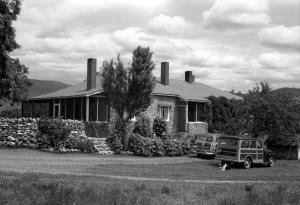 thumbnail of image