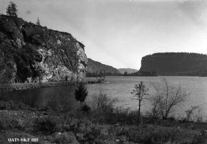 thumbnail of image