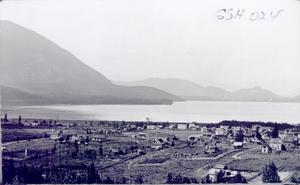 thumbnail of image
