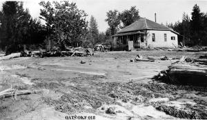 thumbnail of image