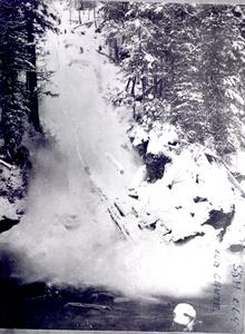 thumbnail of image