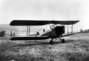 thumbnail of image