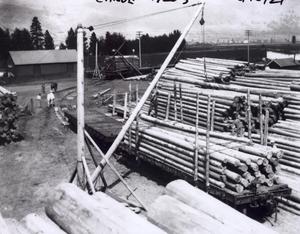 thumbnail of image