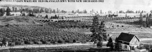 thumbnail of image