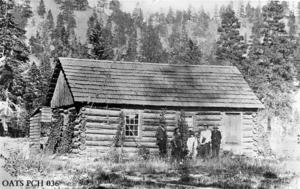 thumbnail of image