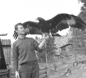 thumbnail of image