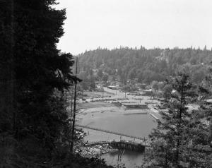 thumbnail of image
