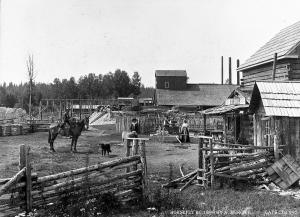 thumbnail of image