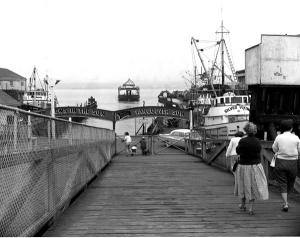 thumbnail of image