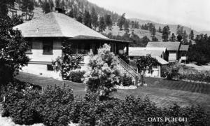 thumbnail of image