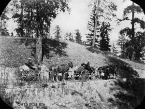 thumbnail of image