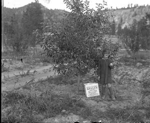thumbnail of image