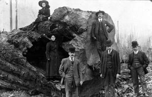 thumbnail of image