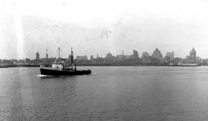 thumbnail of image