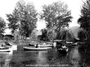 thumbnail of image